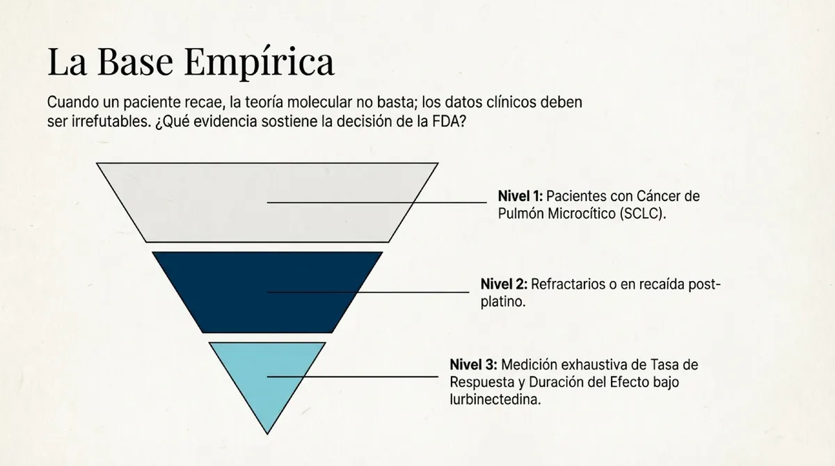 Pirámide invertida que representa los niveles de evidencia clínica para la FDA.